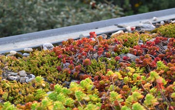 the cost of Chadwell End green roof installation